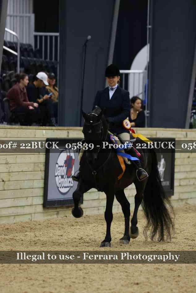 Proof 22BUCK_05839