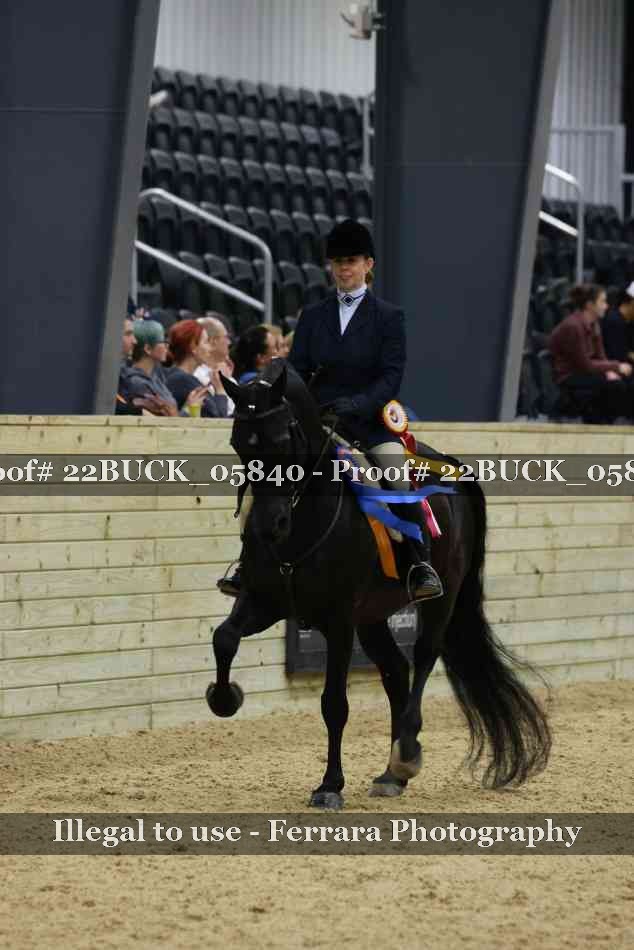 Proof 22BUCK_05840