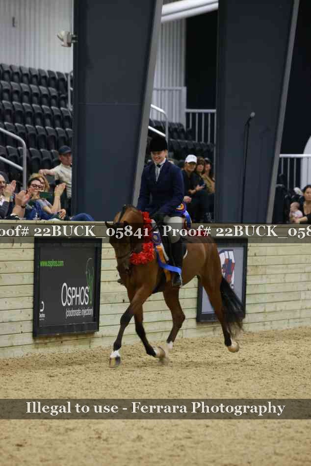 Proof 22BUCK_05841