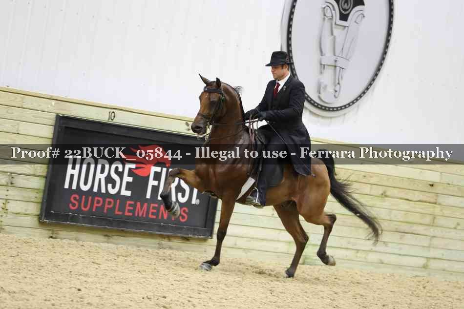 Proof 22BUCK_05844