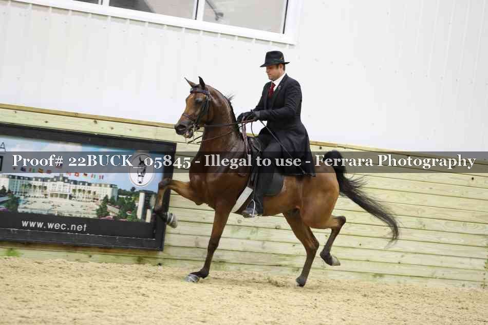 Proof 22BUCK_05845