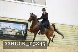 22BUCK_05845 proof