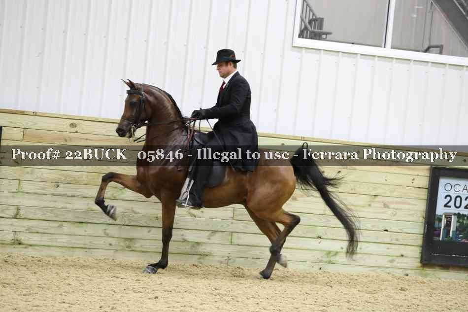 Proof 22BUCK_05846