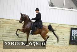 22BUCK_05846 proof