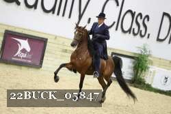 22BUCK_05847 proof