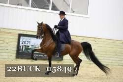 22BUCK_05849 proof