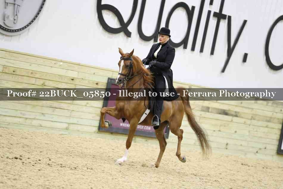 Proof 22BUCK_05850