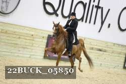 22BUCK_05850 proof
