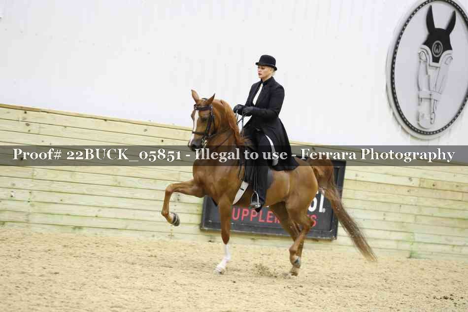 Proof 22BUCK_05851