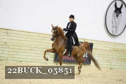 22BUCK_05851 proof
