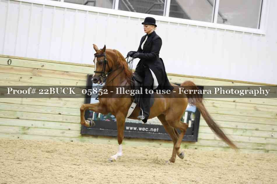 Proof 22BUCK_05852