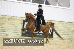 22BUCK_05852 proof
