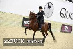 22BUCK_05853 proof