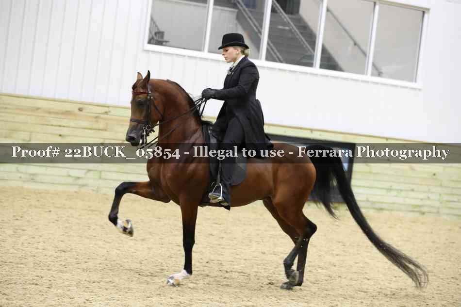 Proof 22BUCK_05854