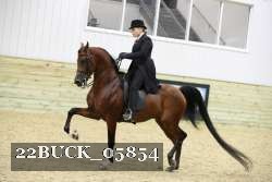22BUCK_05854 proof