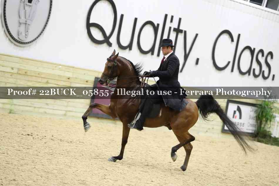 Proof 22BUCK_05855