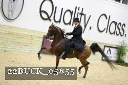 22BUCK_05855 proof