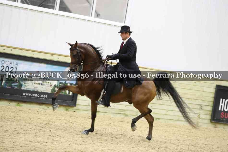 Proof 22BUCK_05856