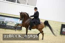 22BUCK_05856 proof
