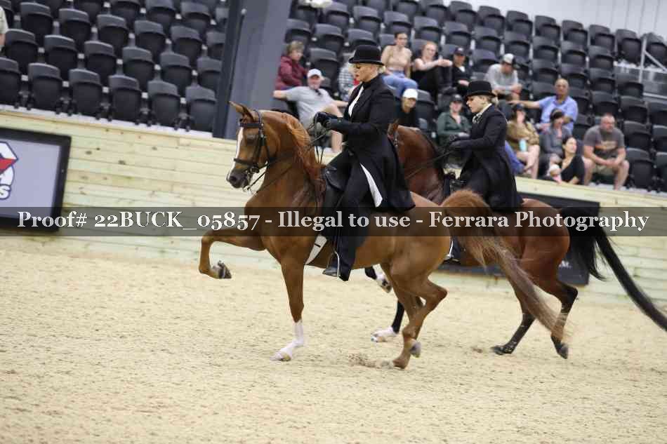 Proof 22BUCK_05857