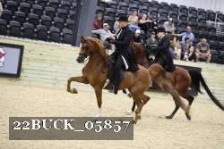 22BUCK_05857 proof
