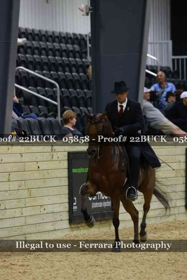 Proof 22BUCK_05858