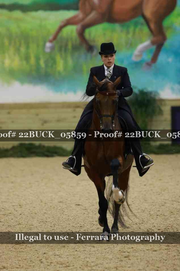 Proof 22BUCK_05859
