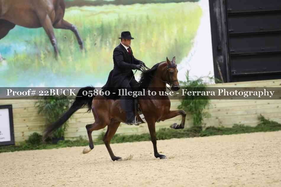 Proof 22BUCK_05860
