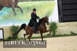 22BUCK_05860 proof