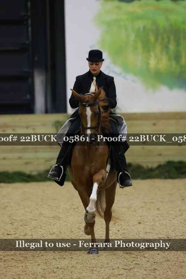Proof 22BUCK_05861