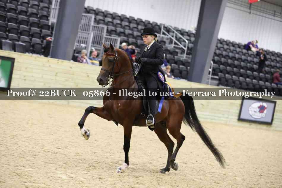 Proof 22BUCK_05866