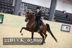 22BUCK_05866 proof