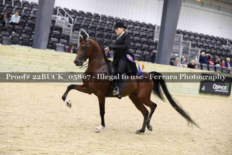 Proof 22BUCK_05867