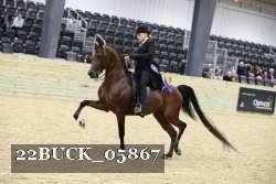 22BUCK_05867 proof