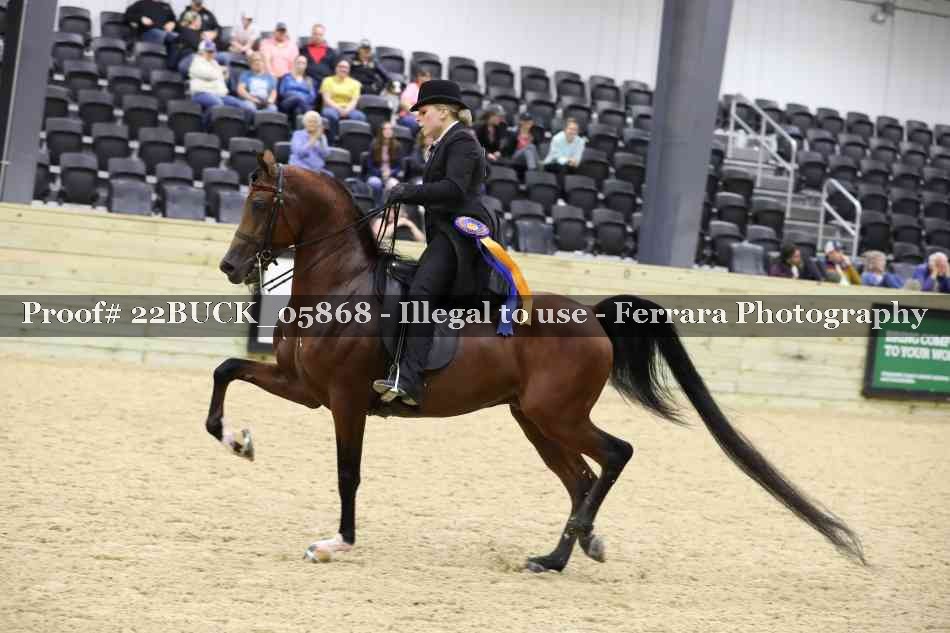 Proof 22BUCK_05868