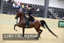 22BUCK_05868 proof