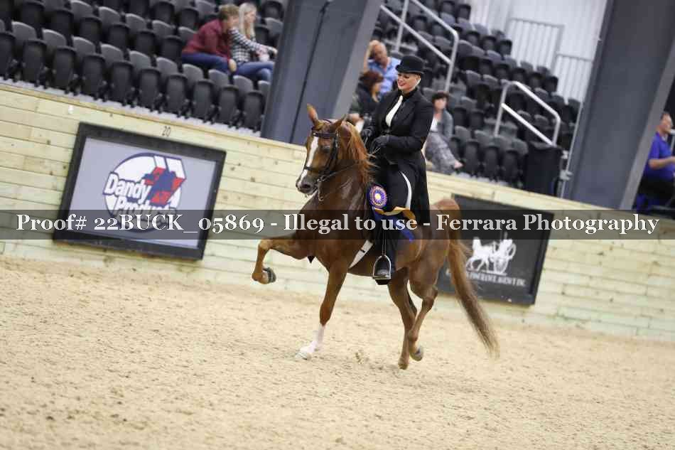 Proof 22BUCK_05869