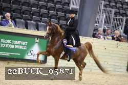 22BUCK_05871 proof