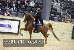 22BUCK_05872 proof
