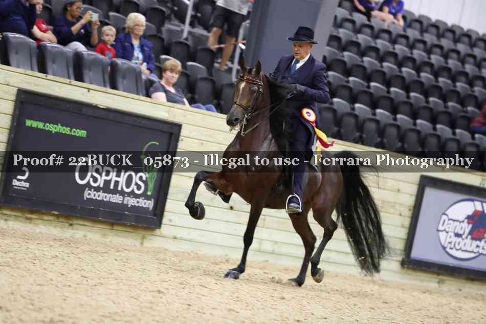 Proof 22BUCK_05873