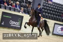 22BUCK_05873 proof
