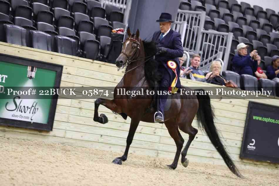 Proof 22BUCK_05874