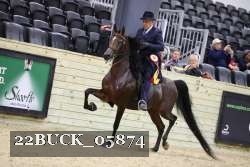 22BUCK_05874 proof