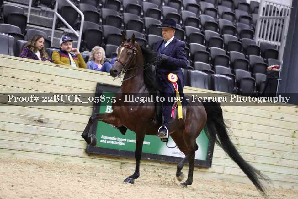 Proof 22BUCK_05875
