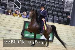 22BUCK_05875 proof
