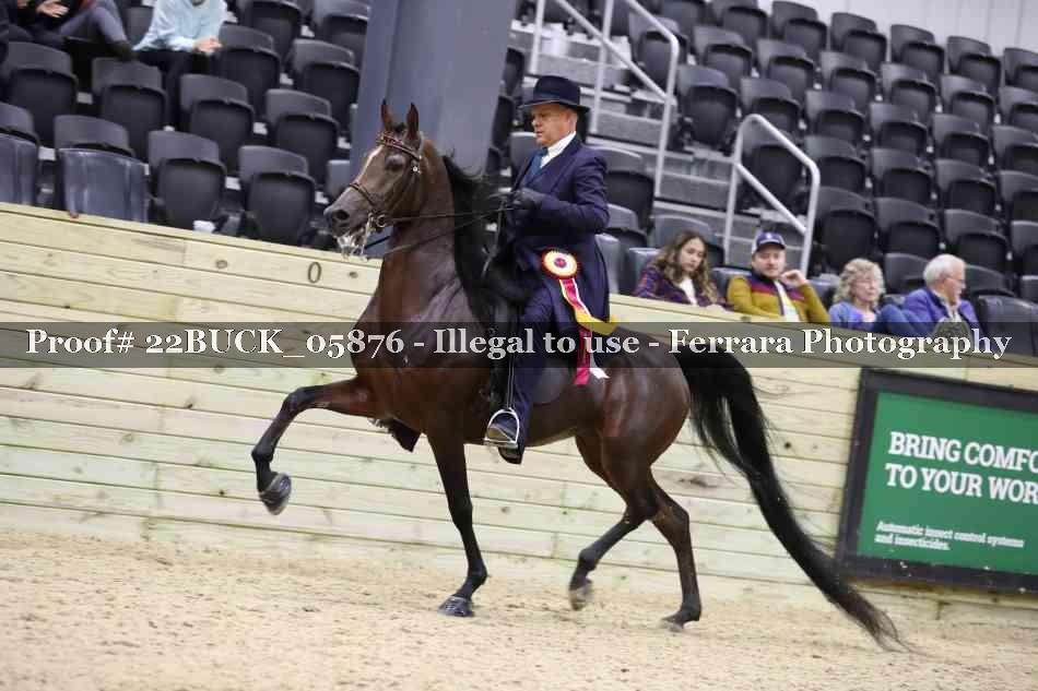 Proof 22BUCK_05876