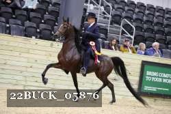22BUCK_05876 proof