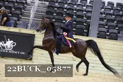 22BUCK_05877 proof