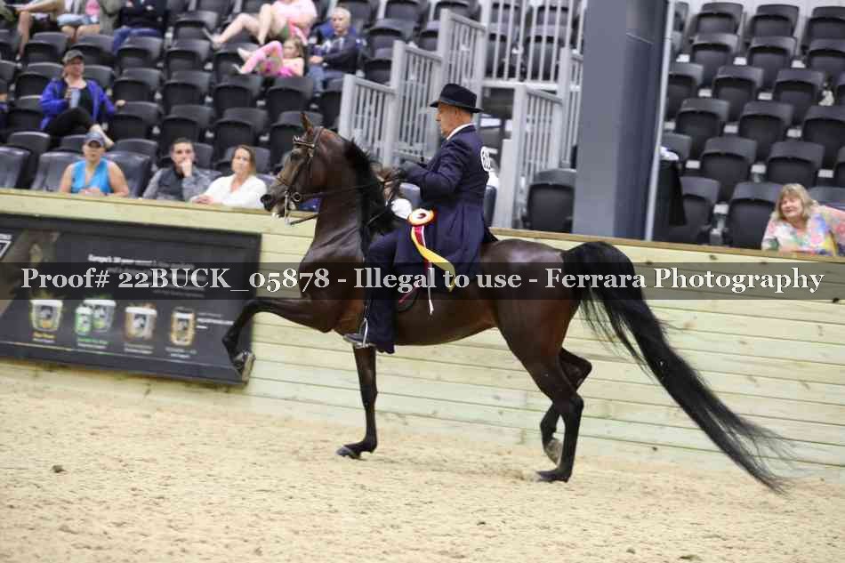 Proof 22BUCK_05878