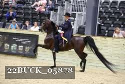 22BUCK_05878 proof